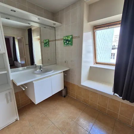 Ruim Duplex Appartement- 8p - Wandelafstand Daire